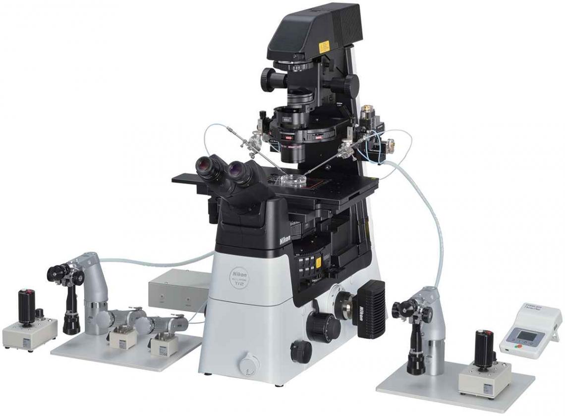 Microscope Systems for IVF