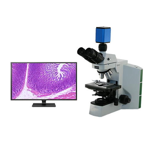 WPI Pathology Lab Microscope