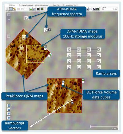Bruker AFM-nDMA Nanoscale DMA AFM