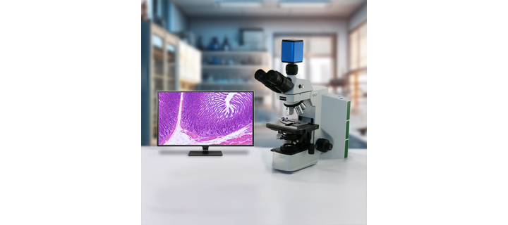 New Microscopes, Enhanced Optical Performance