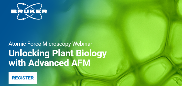 Discover different ways to use BioAFM for exploring plant physiology