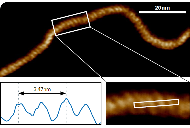 New Bruker/JPK NanoWizard ULTRA Speed 2 AFM