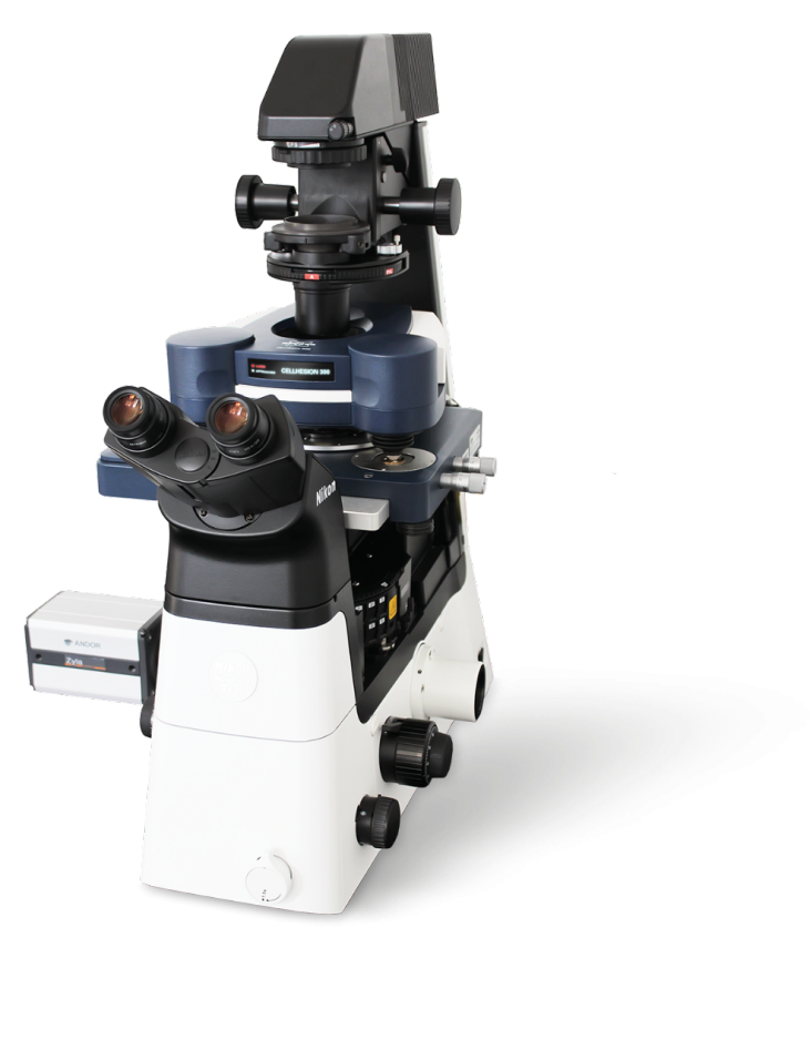 Introducing the CellHesion 300 BioAFM