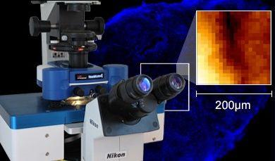 HybridStage Automated Large Sample Area Mapping