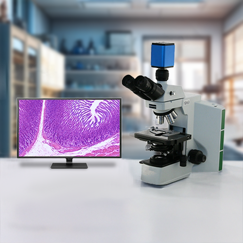 New Microscopes, Enhanced Optical Performance