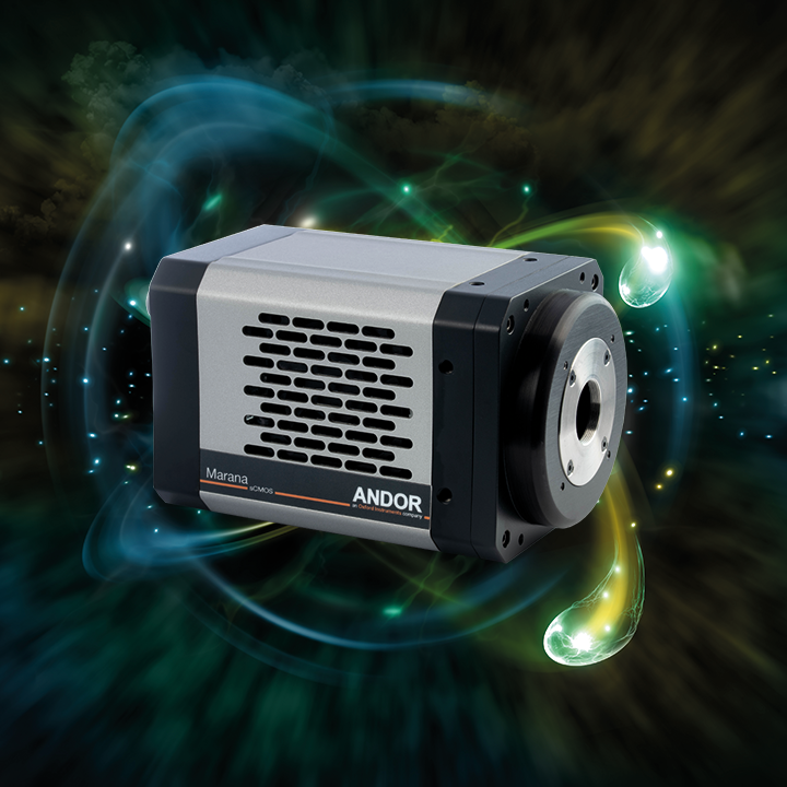 High Speed Back-illuminated sCMOS for Physical Sciences