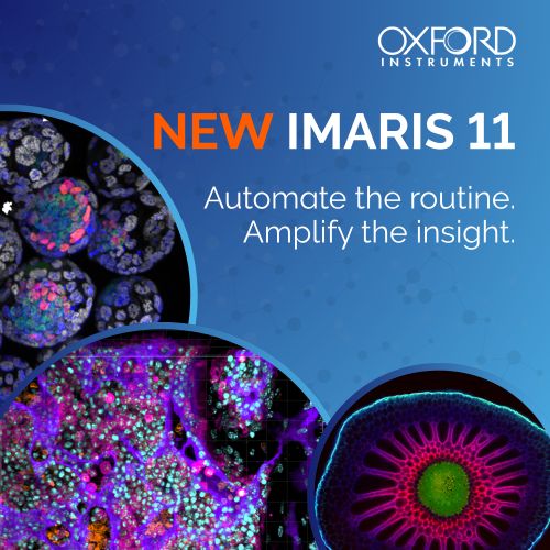 Andor Imaris AI Microscopy Image Analysis Software