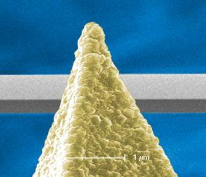 Bruker Doped Diamond-Coated Electrical Probes